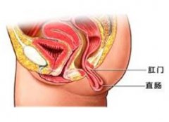 福州脱肛治疗哪家好啊