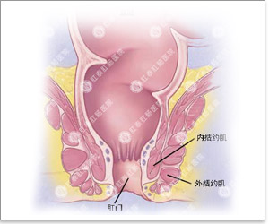 肛门潮湿有什么症状